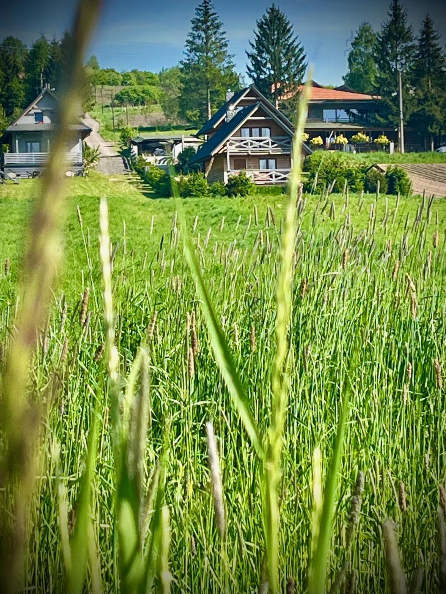 Domki Caloroczne Domkowstwo Bobrka Exterior photo